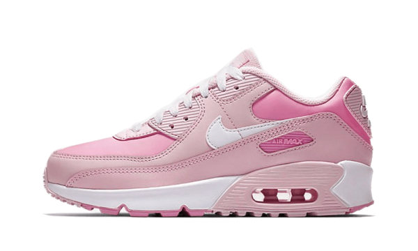 CV9648-600 Nike Air Max 90 Pink (W)