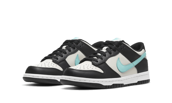 CW1590-003 Nike Dunk Low Grey Tiffany (GS)