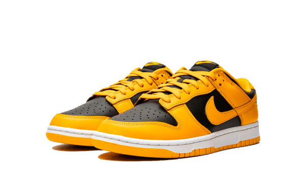 DD1391-004 Nike Dunk Low Goldenrod (2021)