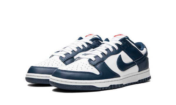 DD1391-400 Nike Dunk Low Valerian Blue