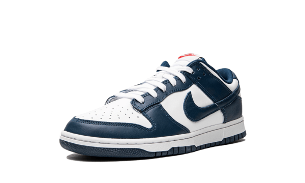 DD1391-400 Nike Dunk Low Valerian Blue