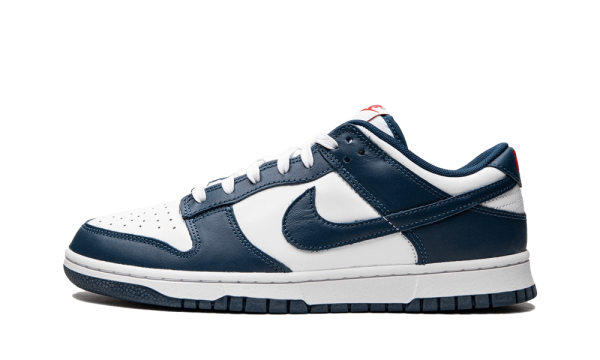 DD1391-400 Nike Dunk Low Valerian Blue