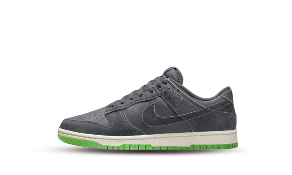 DQ6215-001 Nike Dunk Low Iron Grey (GS)