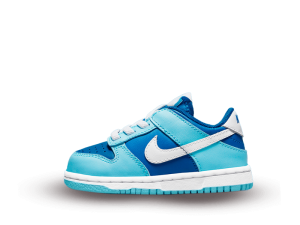 DV2635-400 Nike Dunk Low Retro Argon (PS)