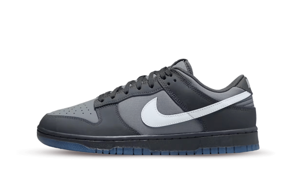 FV0384-001 Nike Dunk Low Anthracite